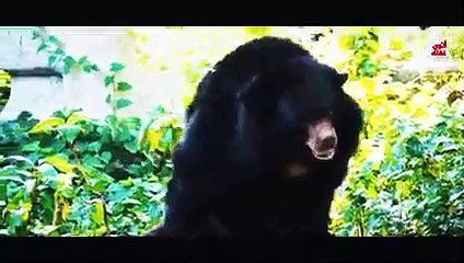 10 الاكتشافات الأثرية الأكثر رعبا في الآونة الأخيرة