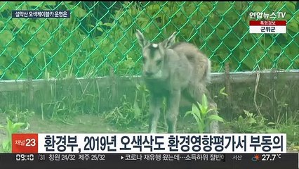 설악산 오색케이블카 급물살?…환경단체 "정치사업" 반발