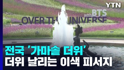 온도·습도 높은 '가마솥 더위'...열대정원 이색 피서도 / YTN