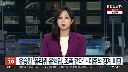 유승민 "윤리위·윤핵관, 조폭 같다"…이준석 징계 비판