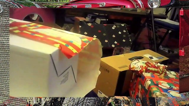 Cleaning cat box l Wrapping Xmas gift l Taking cat to vet.compressed