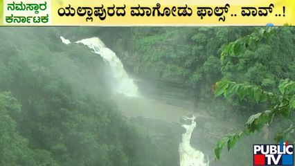 ಕರ್ನಾಟಕದಲ್ಲಿ ಜೋರಾದ ಮಳೆ; ಜಲಪಾತಗಳಿಗೆ ಜೀವಕಳೆ | Karnataka Waterfalls