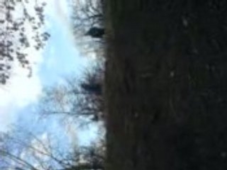 Cassie aka käsebeat geht baden 2