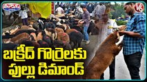 Huge Demand For Goats Ahead Of Bakrid Festival _ V6 Teenmaar