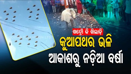 News Fuse | Coconuts hurled during special ritual in Koraput, elderly man busy in collecting cocon