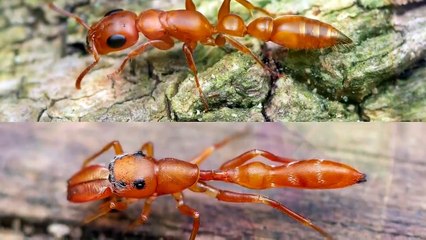 Cuando las Cosas No son lo que parecen