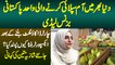 Shazia Mateen: Wold Me Mangoes Supply Krne Wali Wahid Pakistani Businesswoman