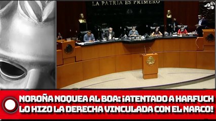 NOROÑA NOQUEA AL BOA POR CASO HARFUCH: ¡LO HIZO LA DERECHA!