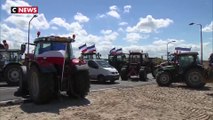 Pays-Bas : les agriculteurs manifestent contre un projet de réduction des émissions d'azote