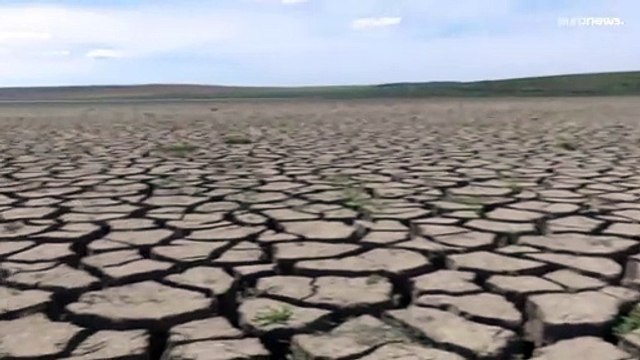 La sete del Delta moldavo: la siccità minaccia la sopravvivenza dell'area protetta