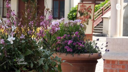 VISITE GUIDEE - Jardins la belle époque à la Maison Bergès