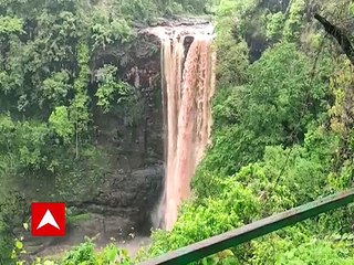 Tapi: મેઘાના વધામણા સાથે જ ચિમેર ધોધ સોળે કળાએ ખીલ્યો, જોઈ લો આ વીડિયો