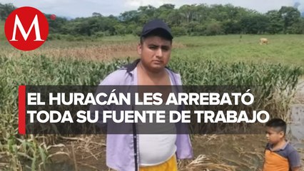 En Oaxaca, reportan árboles y postes caídos en Tuxtepec por huracán 'Bonnie'