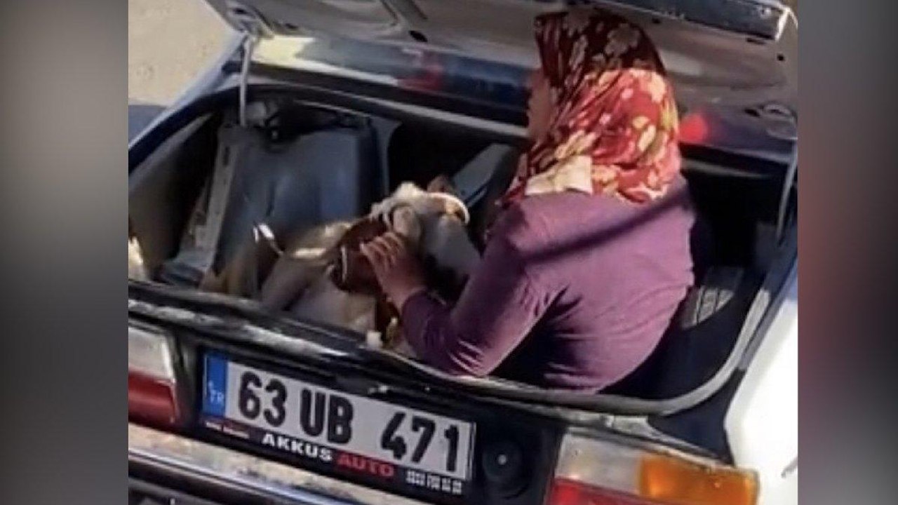 Bagajda kurbanla seyahat eden kadının görüntüsü sosyal medyada ilgi odağı oldu