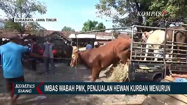 Imbas PMK: Penjualan Hewan Kurban Menurun, Omzet Pedagang Anljlok!