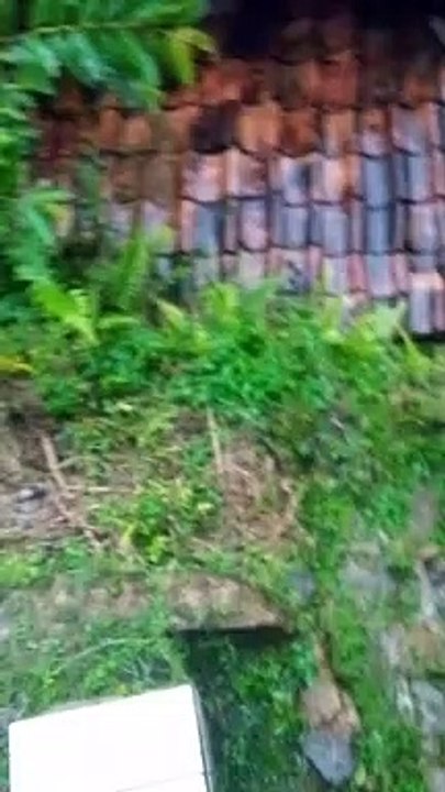 rumah tak terpakai