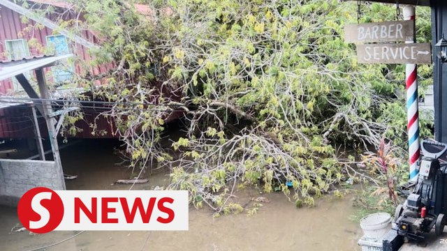 Housewife, relatives ‘trapped’ by fallen electric pole