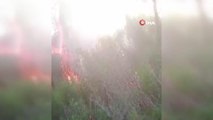 Son dakika haberleri: Manavgat'ta ormanlık alanda çıkan yangın panik oluşturdu
