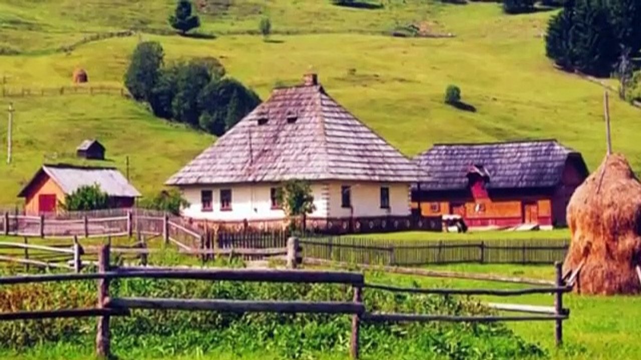 Puiu Nastase- ciobanas cu 300 de oi