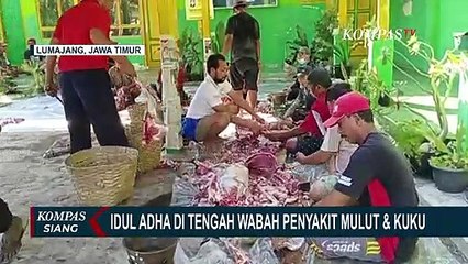 Tải video: Wabah PMK di Tengah Idul Adha, Pemkab Lumajang Meminta Warga Masak Daging Kurban Sampai Matang!