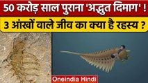Science And Research | 500 Million Year Old Fossil | Stanleycaris Hirpex | वनइंडिया हिंदी | *offbeat
