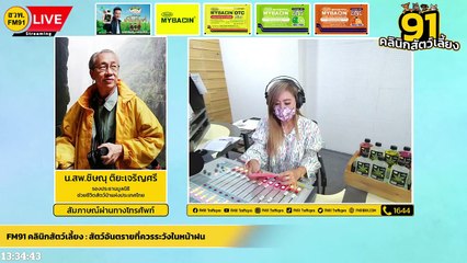 สัตว์อันตรายที่ควรระวังในหน้าฝน EP.2 : FM91 คลินิกสัตว์เลี้ยง : 10 กรกฎาคม 2565