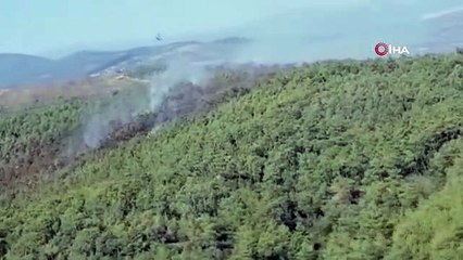 Bodrum'daki orman yangını kontrol altına alındı