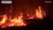 Les pompiers peinent à maîtriser plusieurs incendies au Portugal