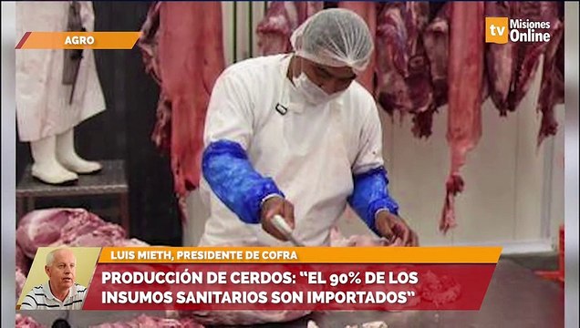 Producción de cerdos: “el 90% de los insumos sanitarios son importados”