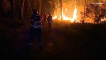 Alarmstufe Rot in Portugal: Mehr als 2000 Feuerwehrleute kämpfen gegen die Flammen