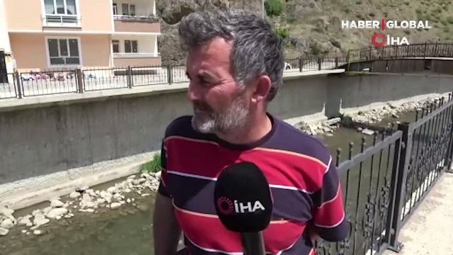 Harşit Çayı’nda toplu balık ölümleri gizemi: Yüzlerce ölü balık kıyıya vurdu