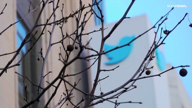 Twitter подал в суд на Илона Маска