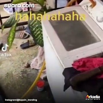 Orang Ini Cuci Jeroan Sapi Kurban Idul Adha Pakai Mesin Cuci, Publik: Siap-siap Emak Marah