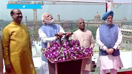 PM India Hina Negaranya, Patung Singa Raksasa Diprotes