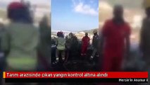 Tarım arazisinde çıkan yangın kontrol altına alındı