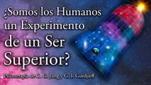 ¿Somos los Humanos un Experimento de un Ser Superior? - Psicoterapia de C. G. Jung y G. I. Gurdjieff