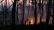 Portugal luta contra incêndios florestais