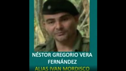 Operativo en Caquetá deja ocho disidentes muertos: esperan confirmar si cayó alias Iván Mordisco