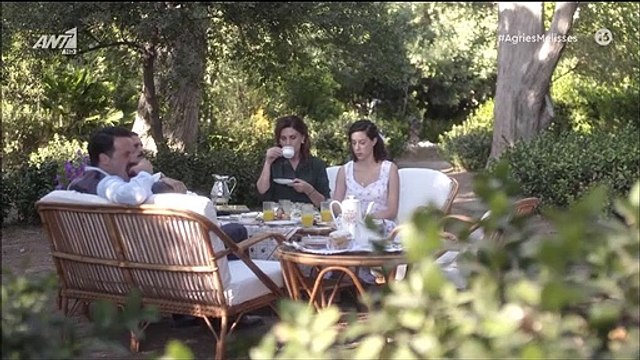 Άγριες Μέλισσες «το τελευταίο πέταγμα»: Διδασκάλου και Κακούρης ξανά μαζί - Οι λυγμοί του Σουξέ