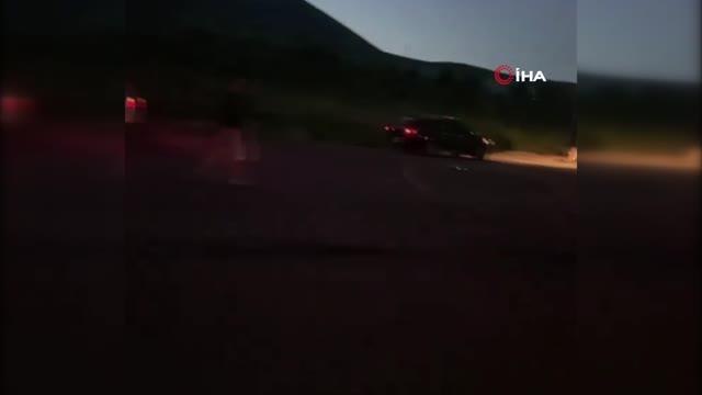 Başıboş hayvan zincirleme kazaya neden oldu, 5 araç birbirine girdi