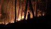 Portugal lucha contra tres incendios forestales y la amenaza de una canícula