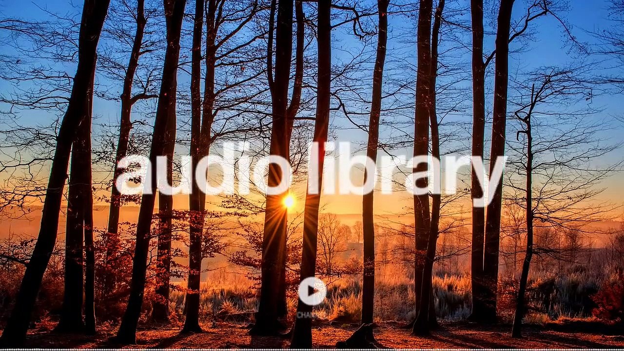 Acoustic Folk Instrumental – Hyde - Free Instrumentals (No Copyright Music)