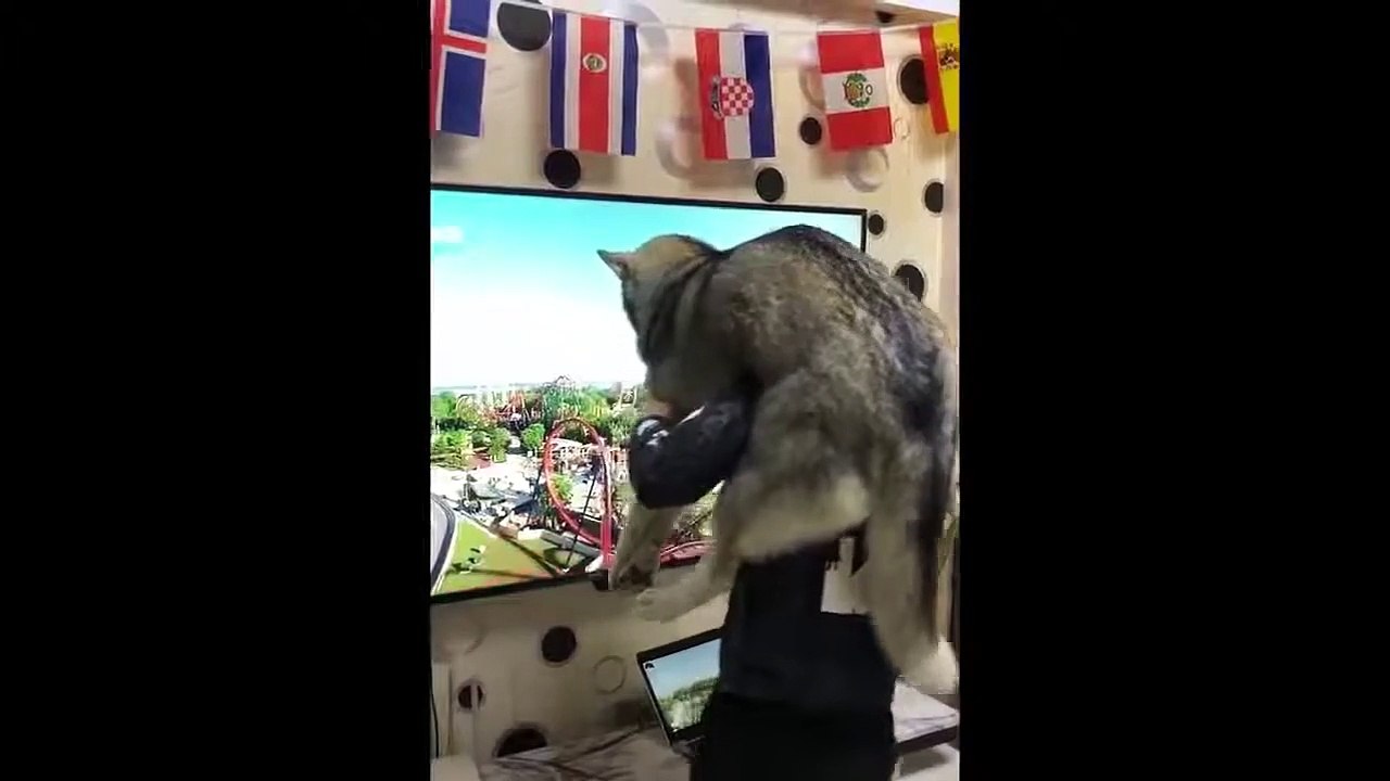 Funny Tiktok video 2022