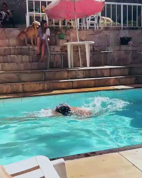 Larissa Manoela ganha declaração de André Luiz Frambach em vídeo