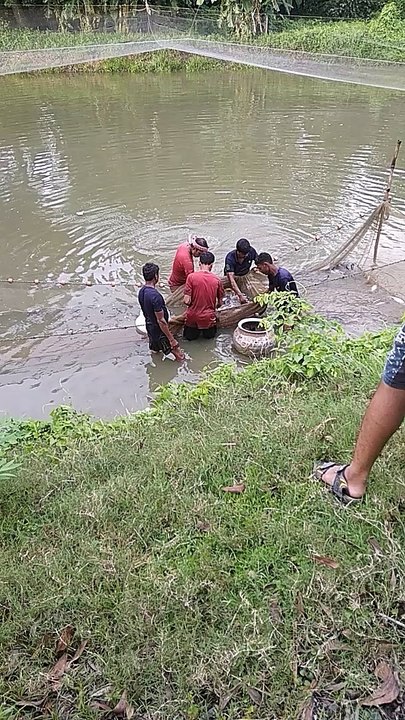 Fishing | fish culaction