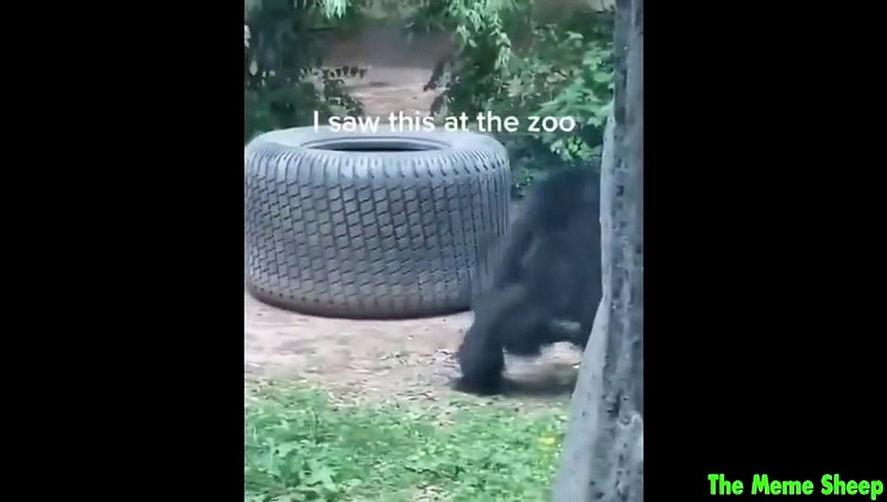 you laugh you bust a move