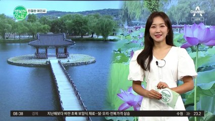 [친절한 예인씨] 부여 서동연꽃축제, 14일부터 개최!