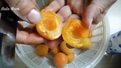 طريقة عمل مربى المشمش بطريقةسهلة ومضمونة