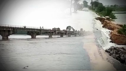 Nizamabad Bridges Flood effect : భారీవర్షాలకు గోదావరికి వరదనీరు | ABP Desam