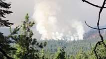 Son dakika haberleri: KALİFORNİYA - Yosemite Ulusal Parkı'nda yangın
